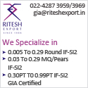 Ritesh Exports